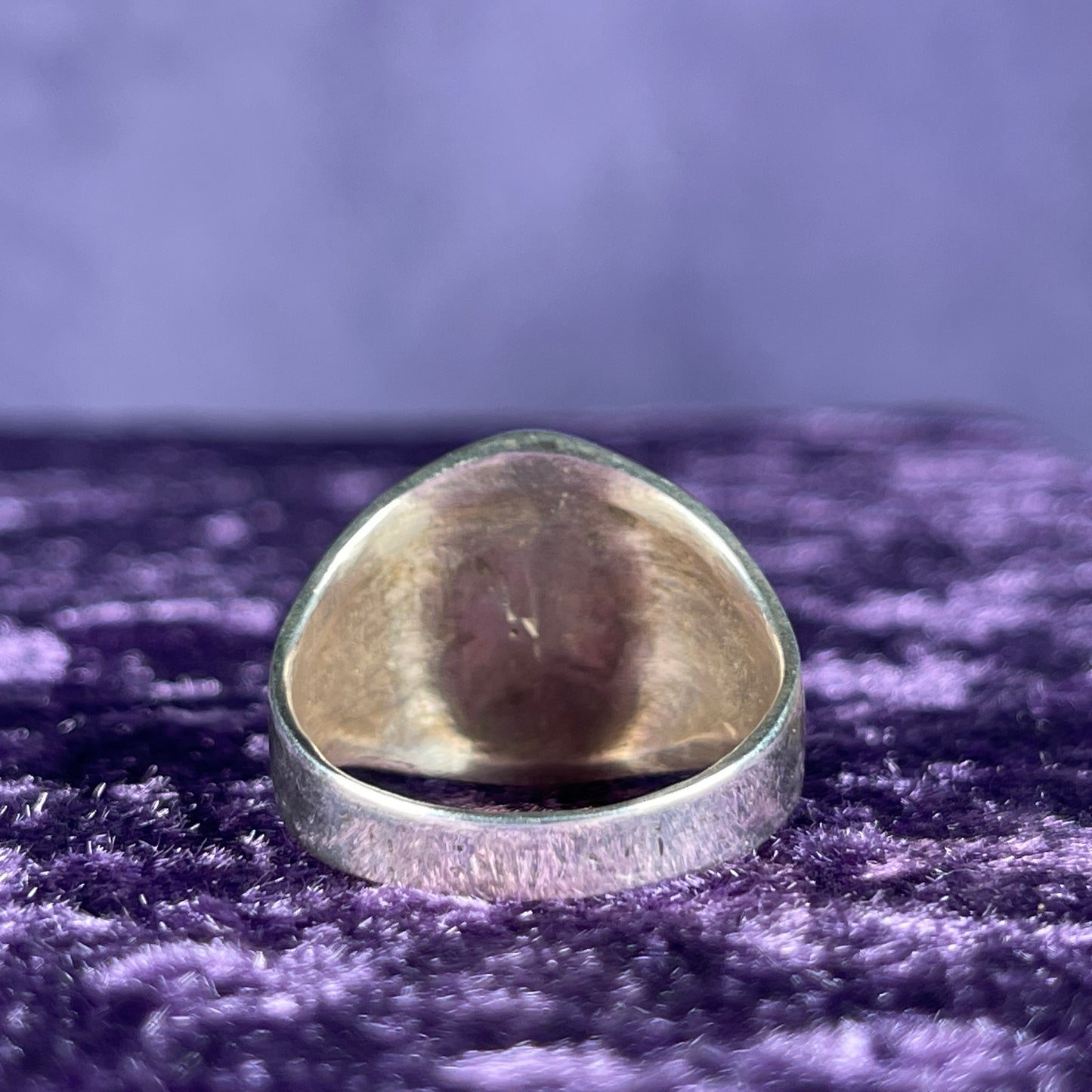 Native American Contemporary Navajo Petrified Wood Thunderbird 925 Silver Ring Size Z / 12.5