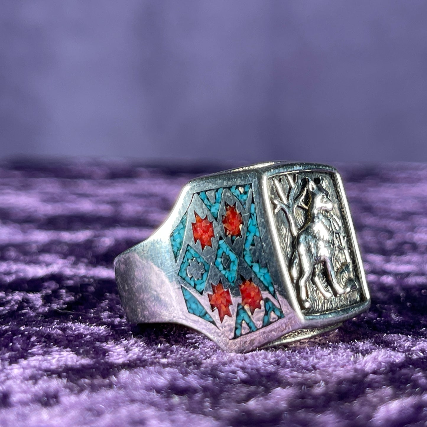 Native American Contemporary Navajo Turquoise Coral Wolf 925 Silver Ring Size X / 11.5