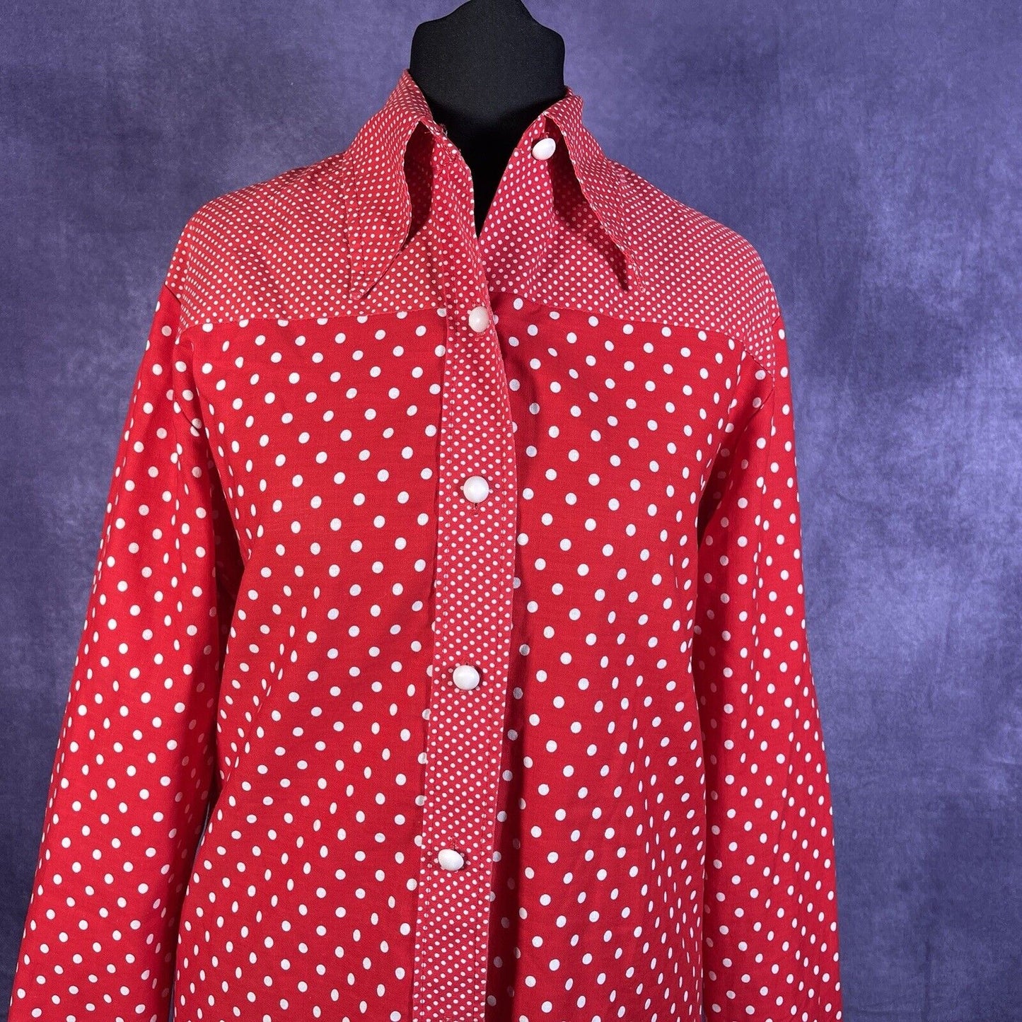 Vintage Women’s 70s Button Up Dagger Collar Shirt